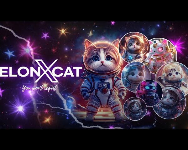 ELONXCAT: Revolutionizing Blockchain Games and Meme Coins on Five Active Blockchains