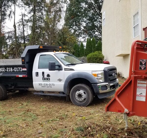 Efficient Stump Grinding Services in Toughkenamon
