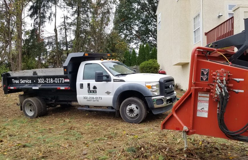 Efficient Stump Grinding Services in Toughkenamon